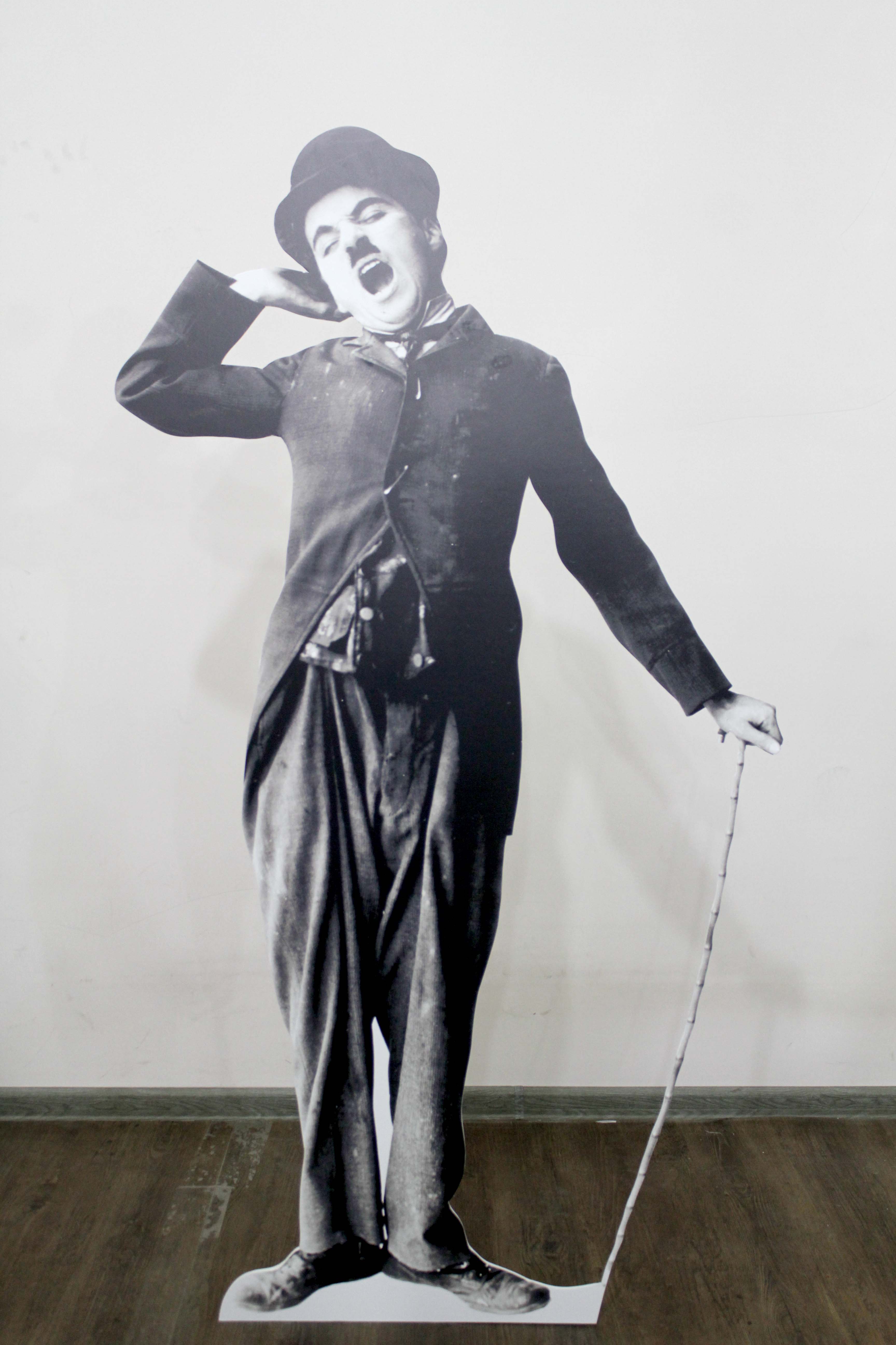 Պվք նյութերի տպագրություն 